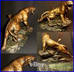 B 1930 CARTIER bronze animalier paire Lionnes rugissantes 60cm statue sculpture
