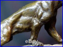 B 1930 CARTIER bronze animalier paire Lionnes rugissantes 60cm statue sculpture