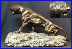 B2 1930 Th. CARTIER bronze animalier Lionne rugissante 40kg60c statue sculpture