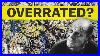 How-Jackson-Pollock-Became-So-Overrated-01-ony
