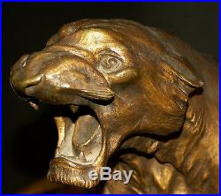 N1 1930 Th. CARTIER bronze animalier Lionne blessée 20kg50cm statue sculpture