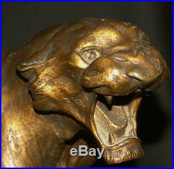 N1 1930 Th. CARTIER bronze animalier Lionne blessée 20kg50cm statue sculpture