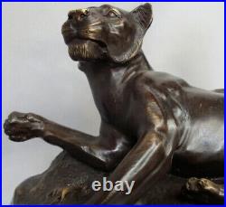 Statue Sculpture Lion Lionne Animalier Style Art Deco Style Art Nouveau Bronze m